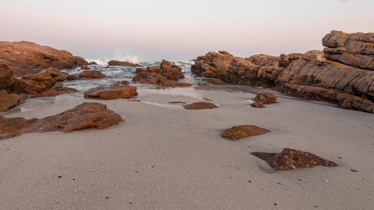Albatross Accommodation Lambertʼs Bay المظهر الخارجي الصورة